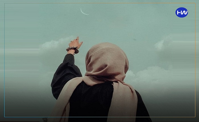 stylish instagram hijab dp.