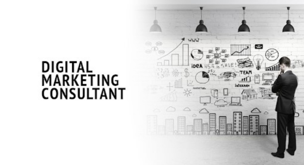 Digital Marketing Consultant